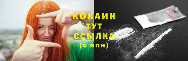 молекула духа Вуктыл
