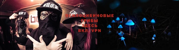 молекула духа Вуктыл