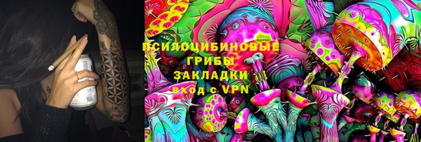 молекула духа Вуктыл