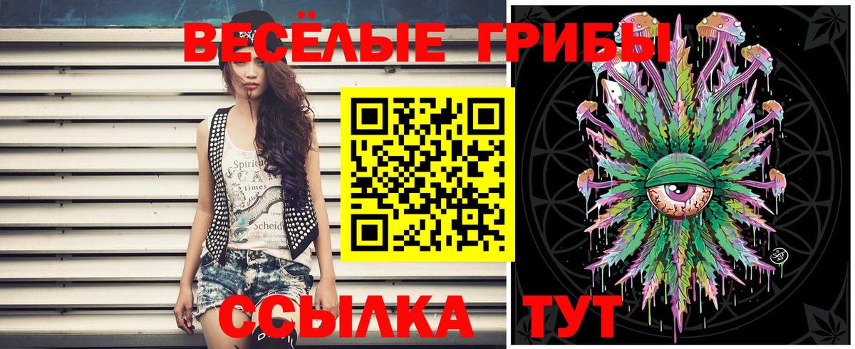 Галлюциногенные грибы Psilocybine cubensis  Тара 